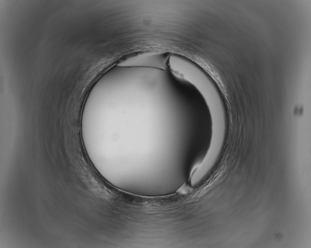 X0000099490481200806121356