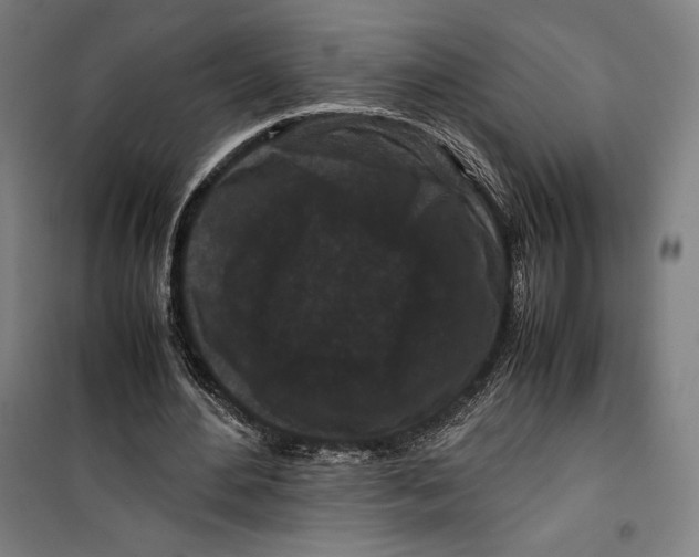 X0000099490484200806121355