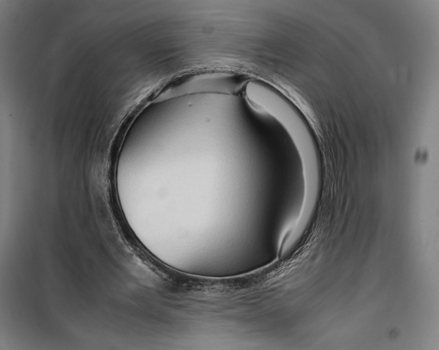 X0000099490485200806121355