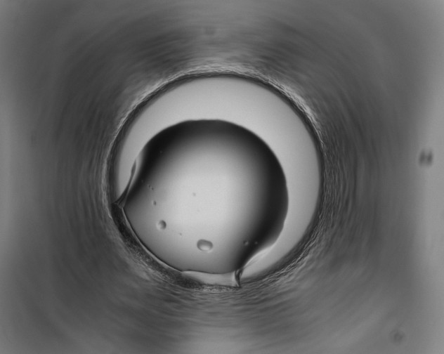 X0000099490487200806121355