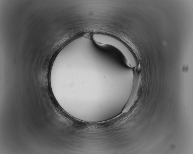 X0000099490489200806121355