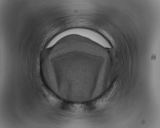 X0000099490493200806121355