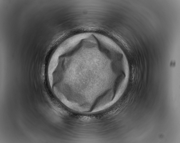 X0000099490494200806121355