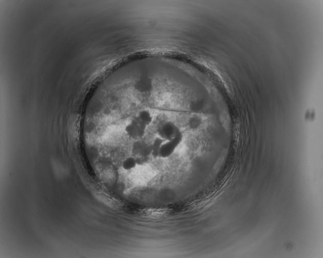 X0000099490495200806121355