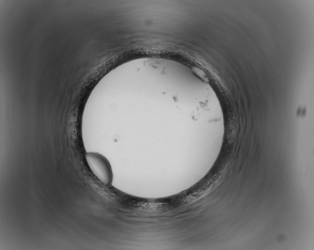 X0000099490497200806121355