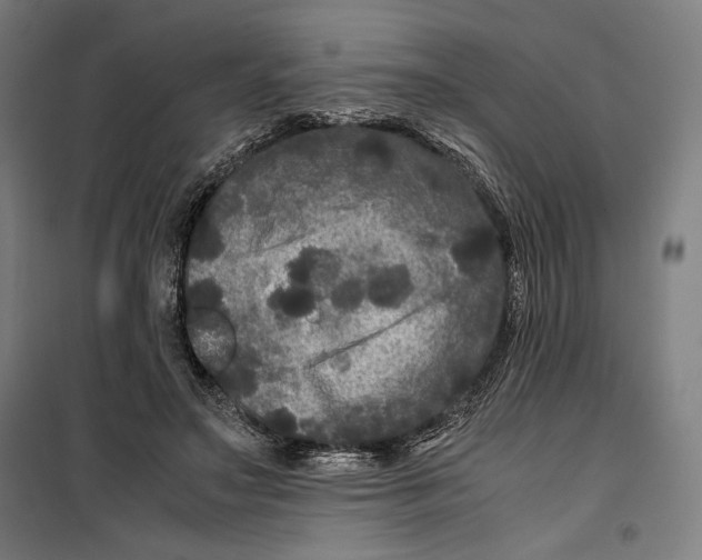 X0000099490499200806121355