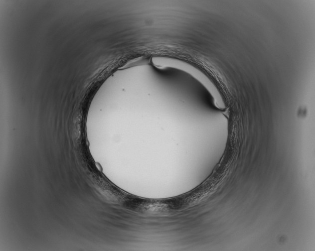 X0000099490501200806121355