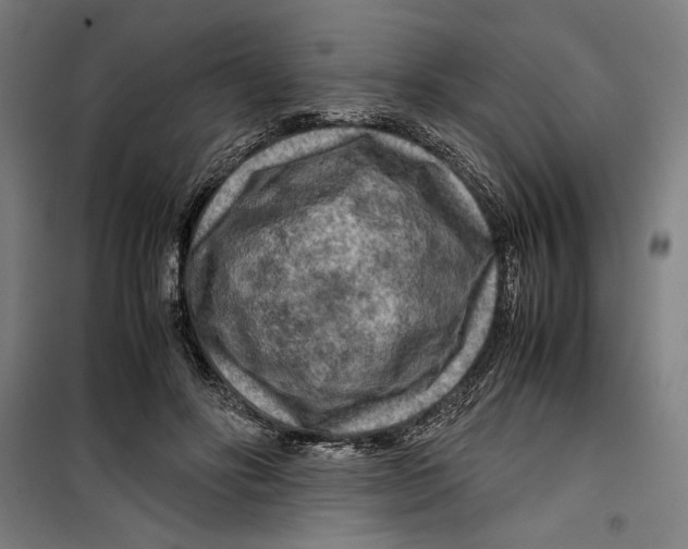 X0000099490502200806121355