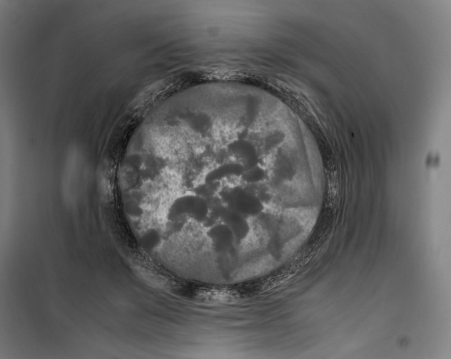 X0000099490503200806121355