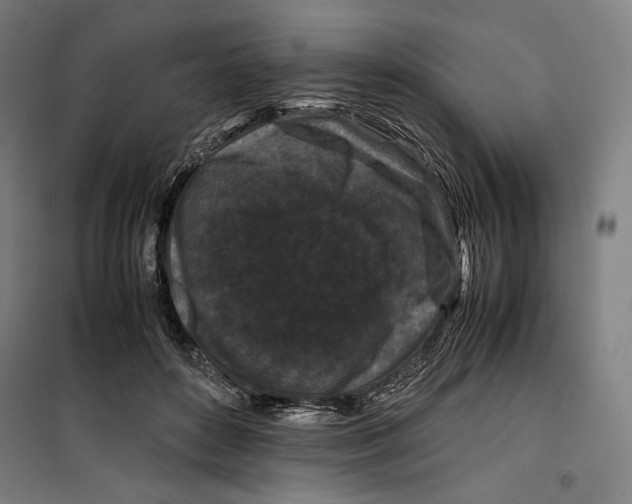 X0000099490504200806121355