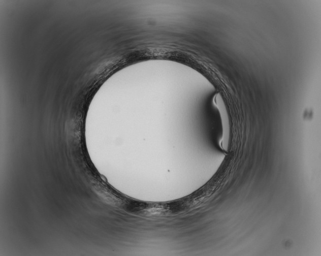 X0000099490505200806121355