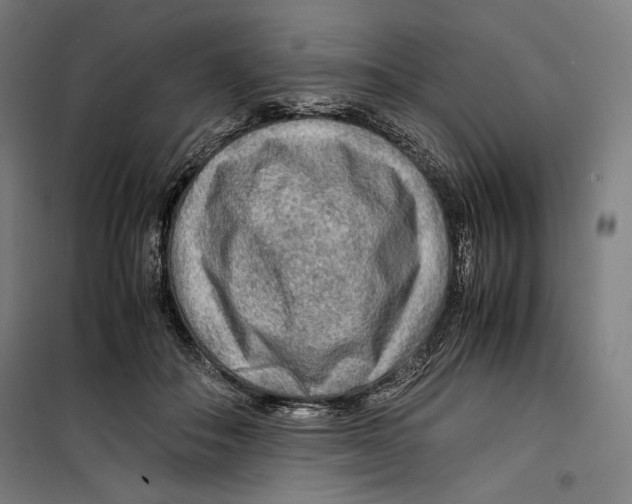 X0000099490506200806121355