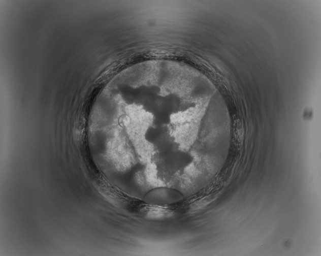 X0000099490507200806121355