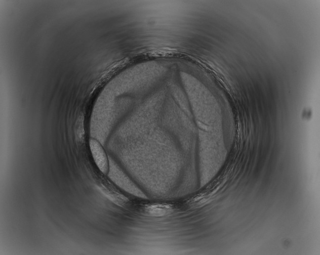 X0000099490508200806121355