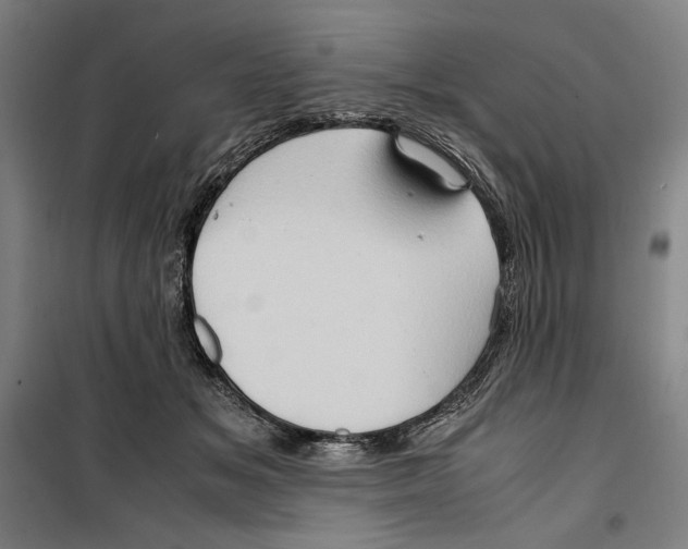 X0000099490509200806121355