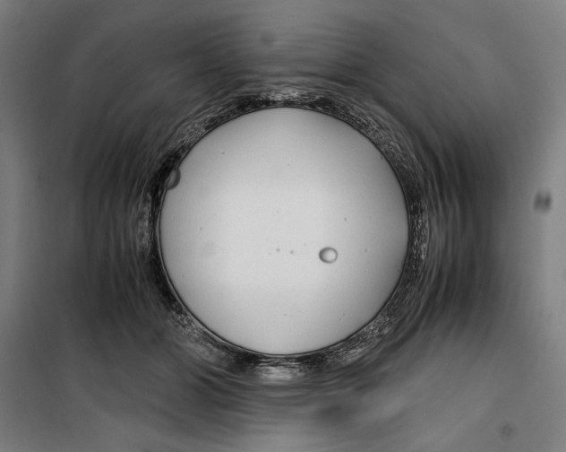 X0000099490510200806121355