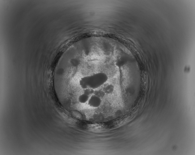 X0000099490511200806121355