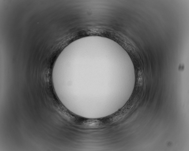 X0000099490514200806121355