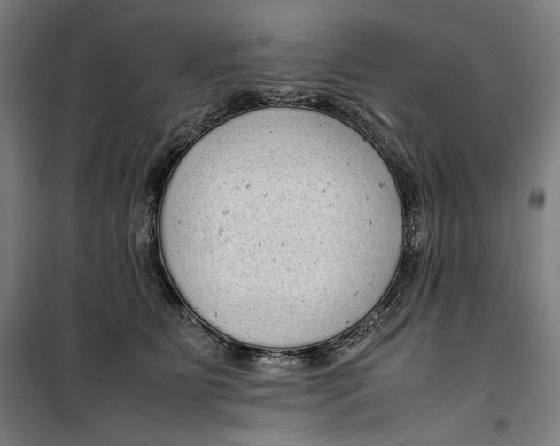 X0000099490515200806121355