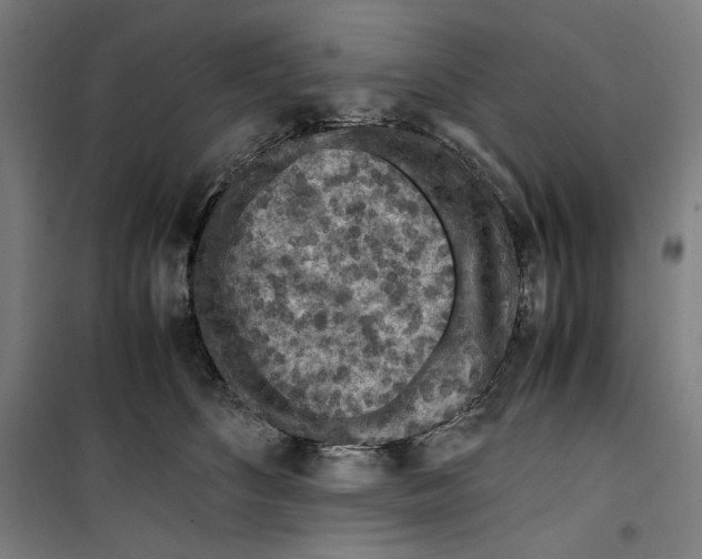 X0000099490516200806121355