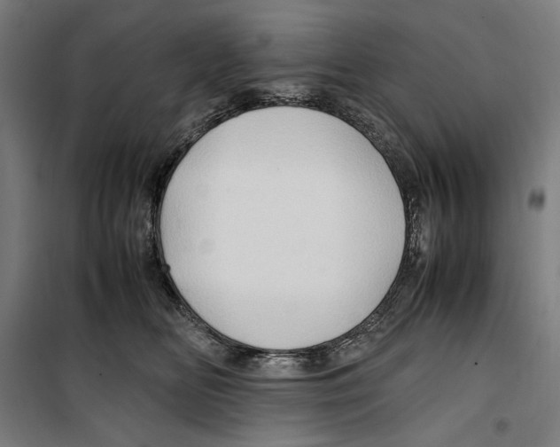 X0000099490518200806121355