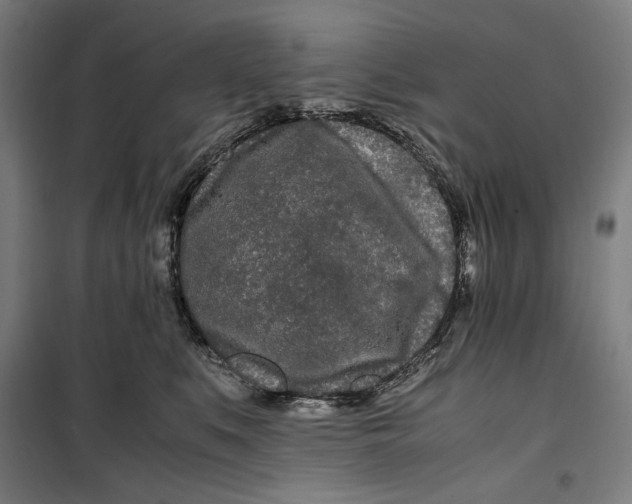 X0000099490519200806121355