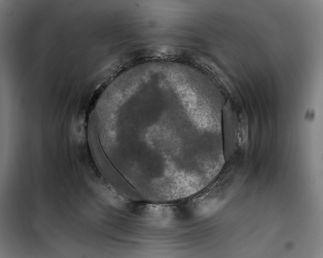 X0000099490520200806121355