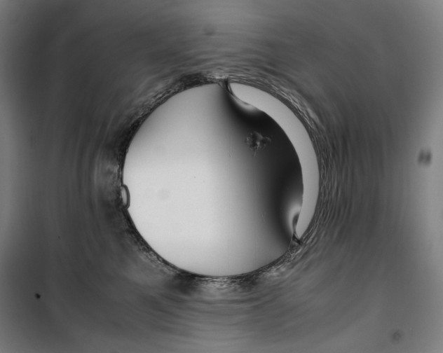 X0000099490521200806121355