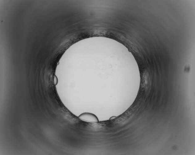 X0000099490522200806121355