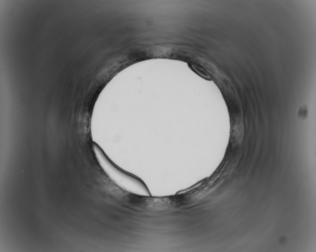 X0000099490525200806121355