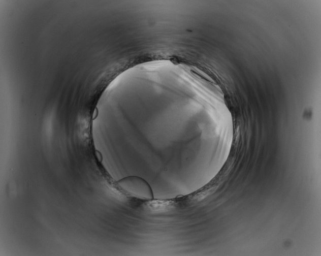 X0000099490526200806121355