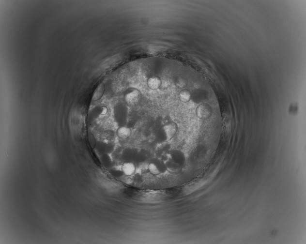 X0000099490527200806121355