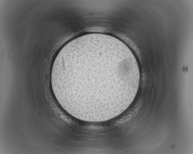 X0000099490529200806121354