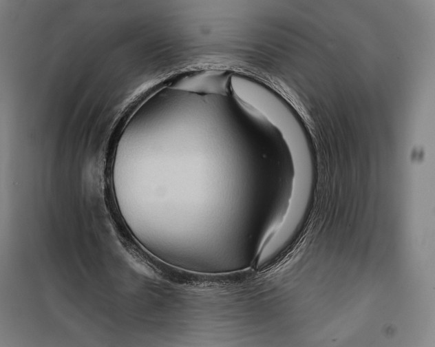 X0000099490530200806121354