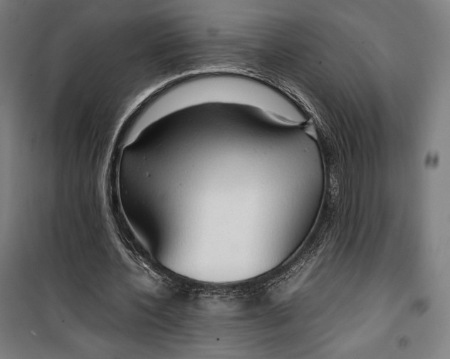 X0000099490532200806121354