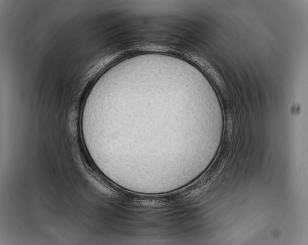 X0000099490533200806121354