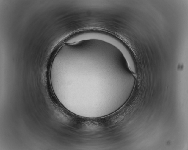 X0000099490535200806121354