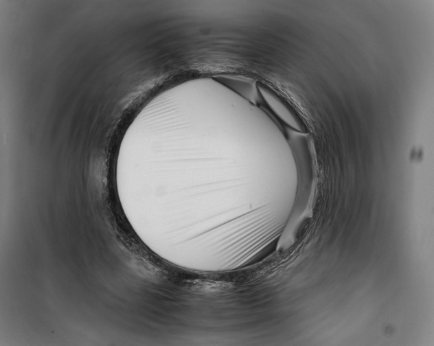 X0000099490539200806121354