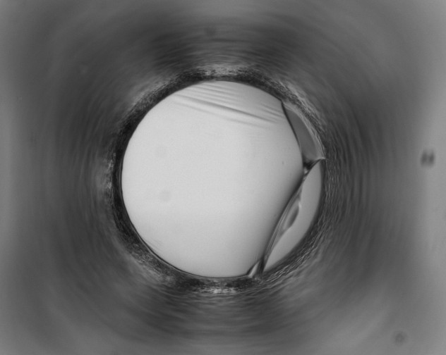 X0000099490543200806121354