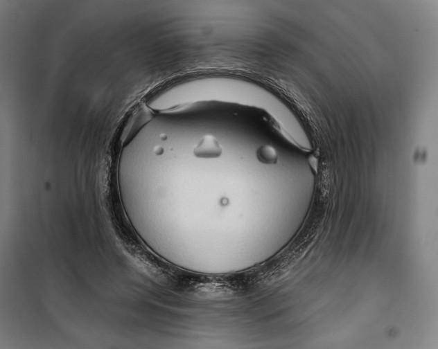 X0000099490544200806121354