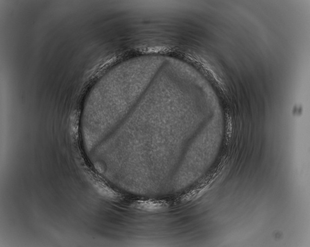 X0000099490545200806121354