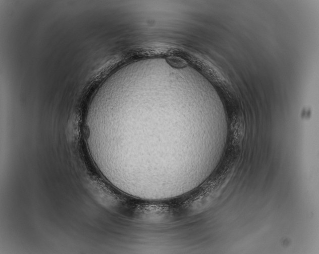 X0000099490546200806121354