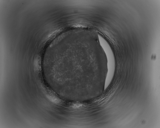 X0000099490547200806121354