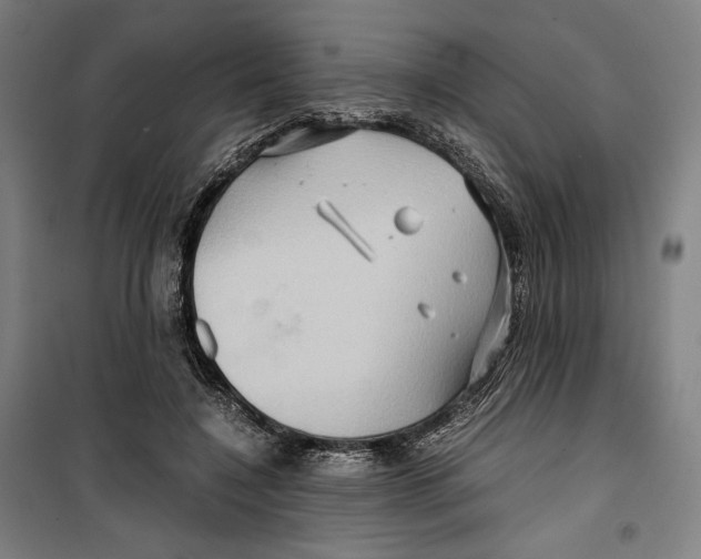 X0000099490548200806121354