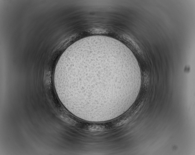 X0000099490549200806121354