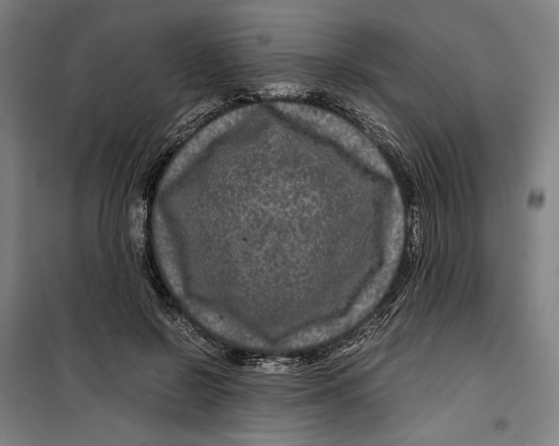 X0000099490550200806121354