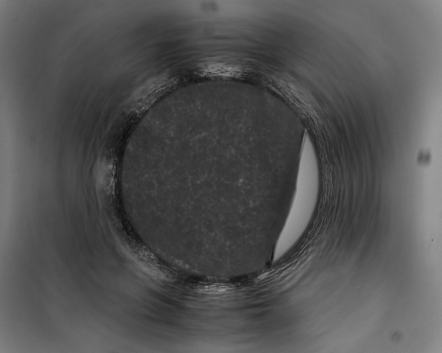 X0000099490551200806121354