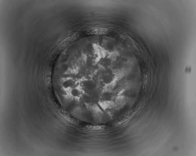 X0000099490553200806121354