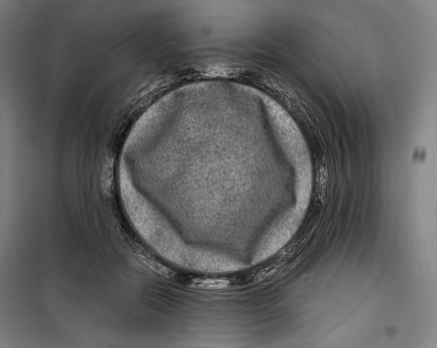 X0000099490554200806121354