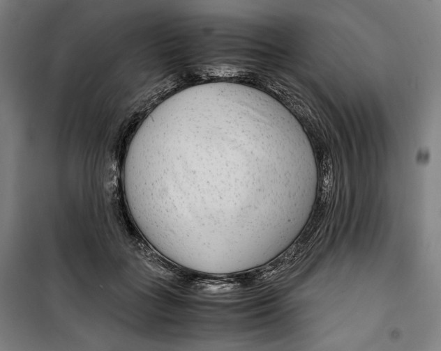 X0000099490555200806121354